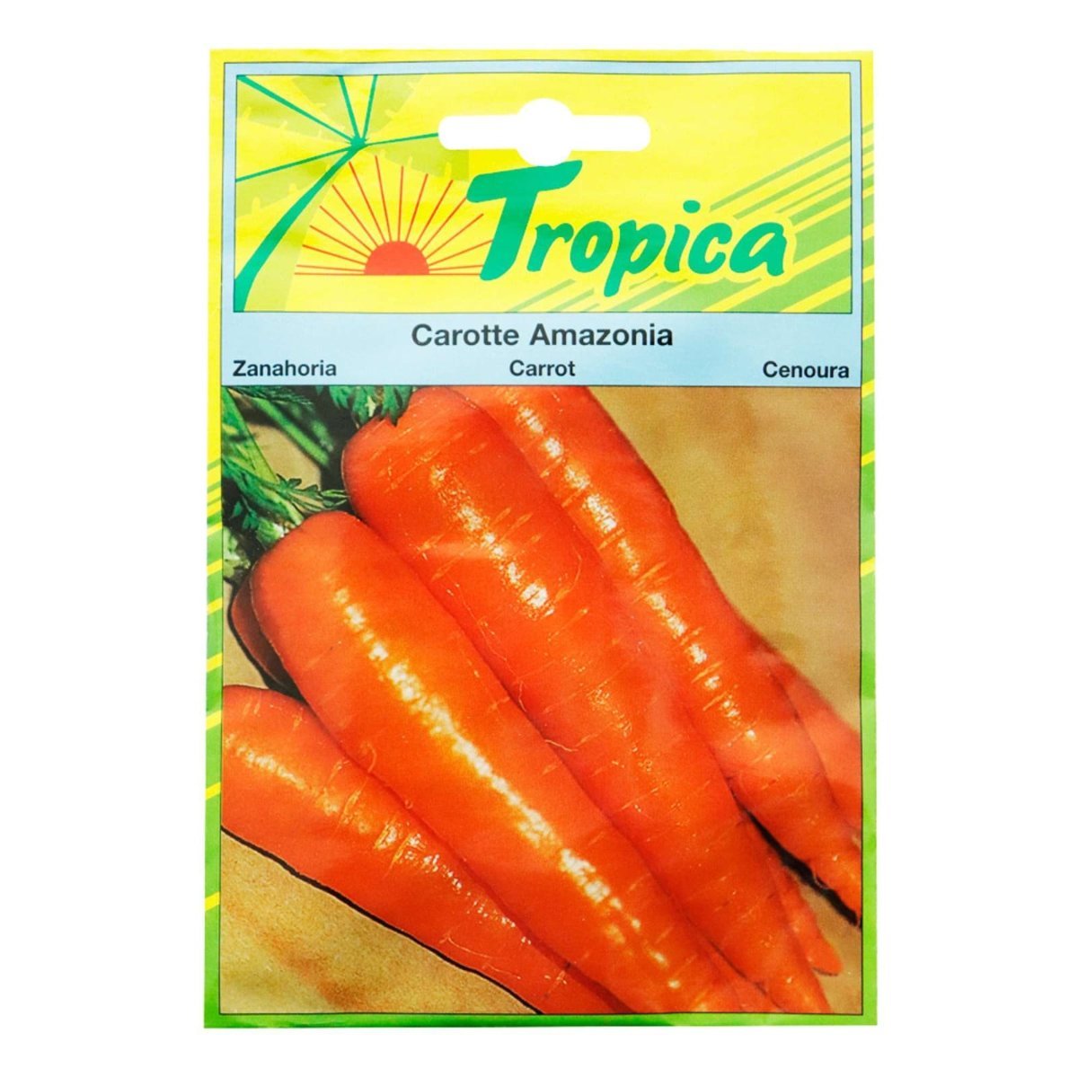 SEMILLA DE ZANAHORIA SOBRE 6 GR