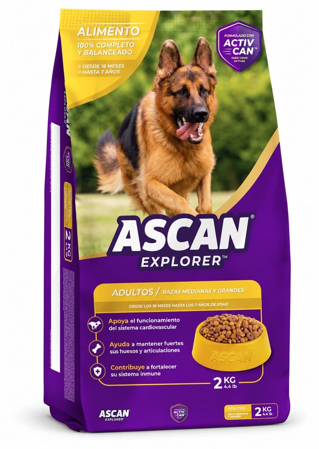 ASCAN EXPLORER ADULTO 2KG