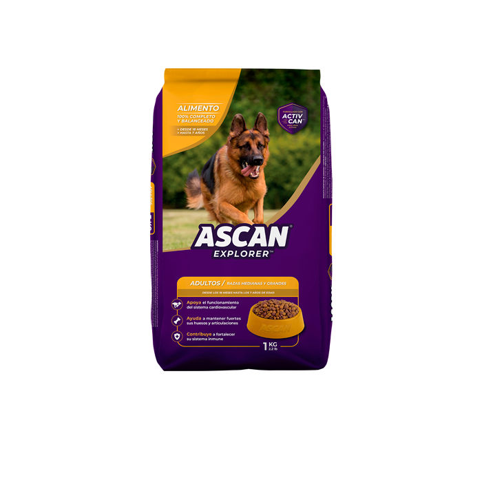 ASCAN EXPLORER ADULTO 1 KG