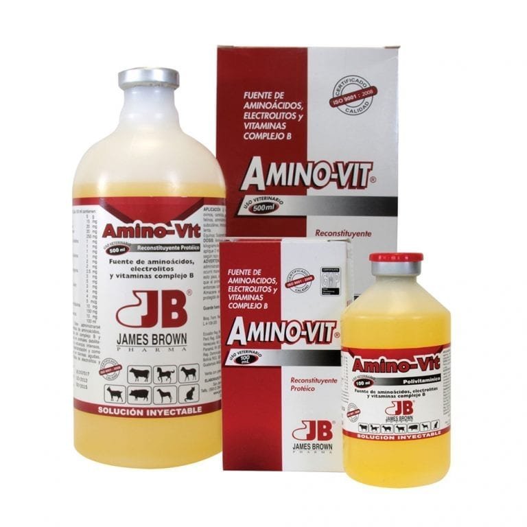 AMINO VIT INY 100 ML