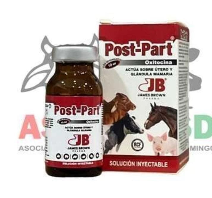 POST PART 10 ML