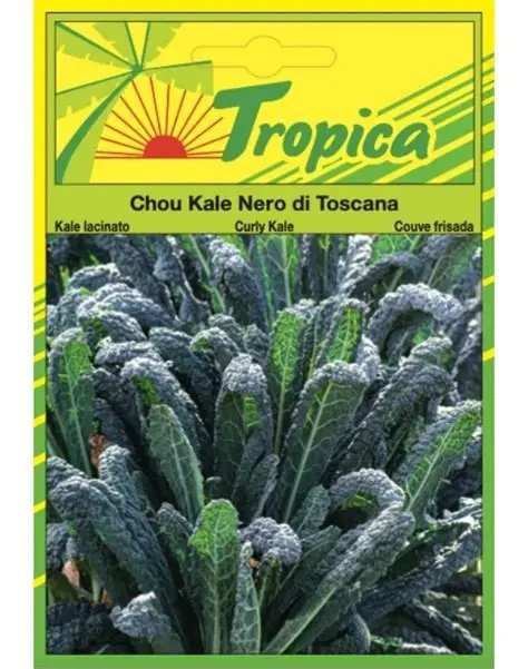 SEMILLA CHOU KALE NERO DI TOSCANA/ COL RIZADO