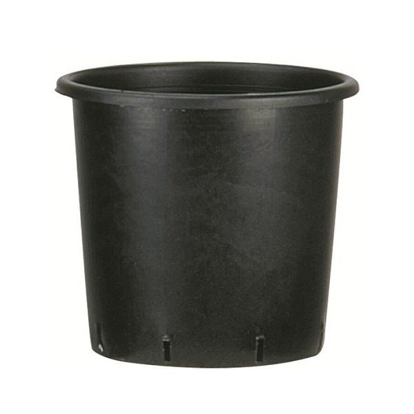 POTE NEGRO RED.30X30